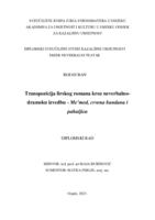 prikaz prve stranice dokumenta Transpozicija lirskog romana kroz neverbalno-dramsku izvedbu - Me’med, crvena bandana i pahuljica