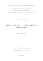 prikaz prve stranice dokumenta Rad na ulozi Guja u predstavi "Šuma Striborova"